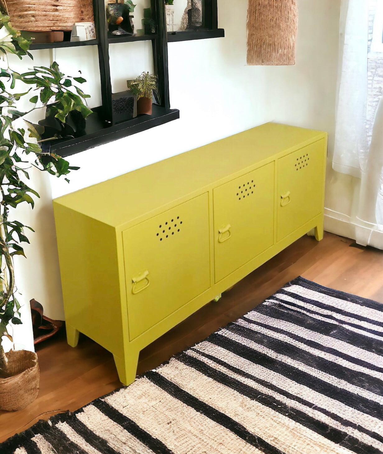Pany TV Locker
